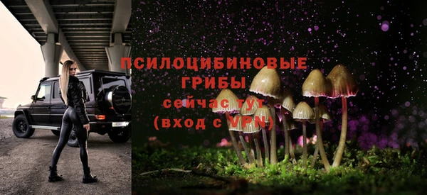 синтетический гашиш Гусь-Хрустальный