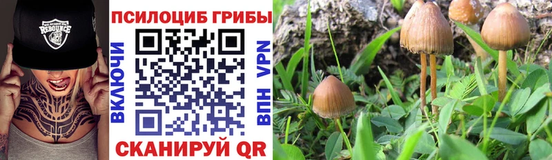 Галлюциногенные грибы прущие грибы  KRAKEN tor  Макарьев 