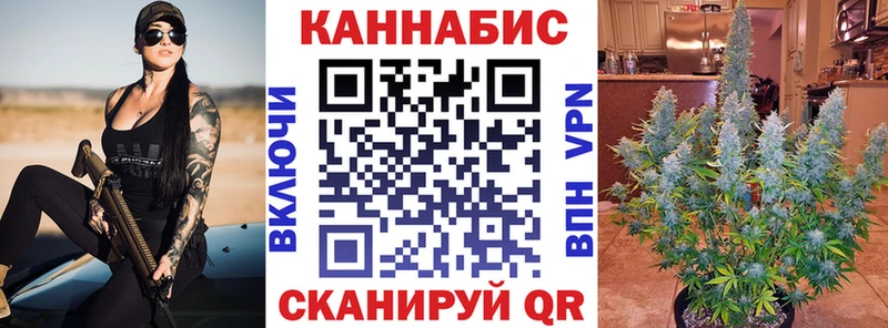 Бошки марихуана планчик  где купить наркоту  Макарьев 