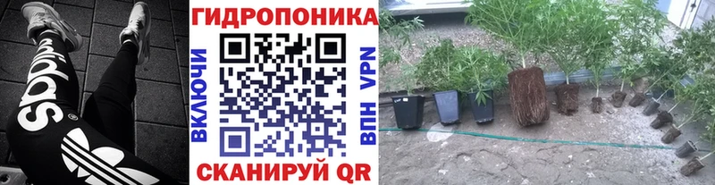 Каннабис тримм Макарьев